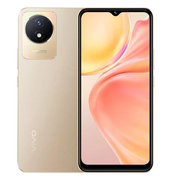 Vivo Y02T